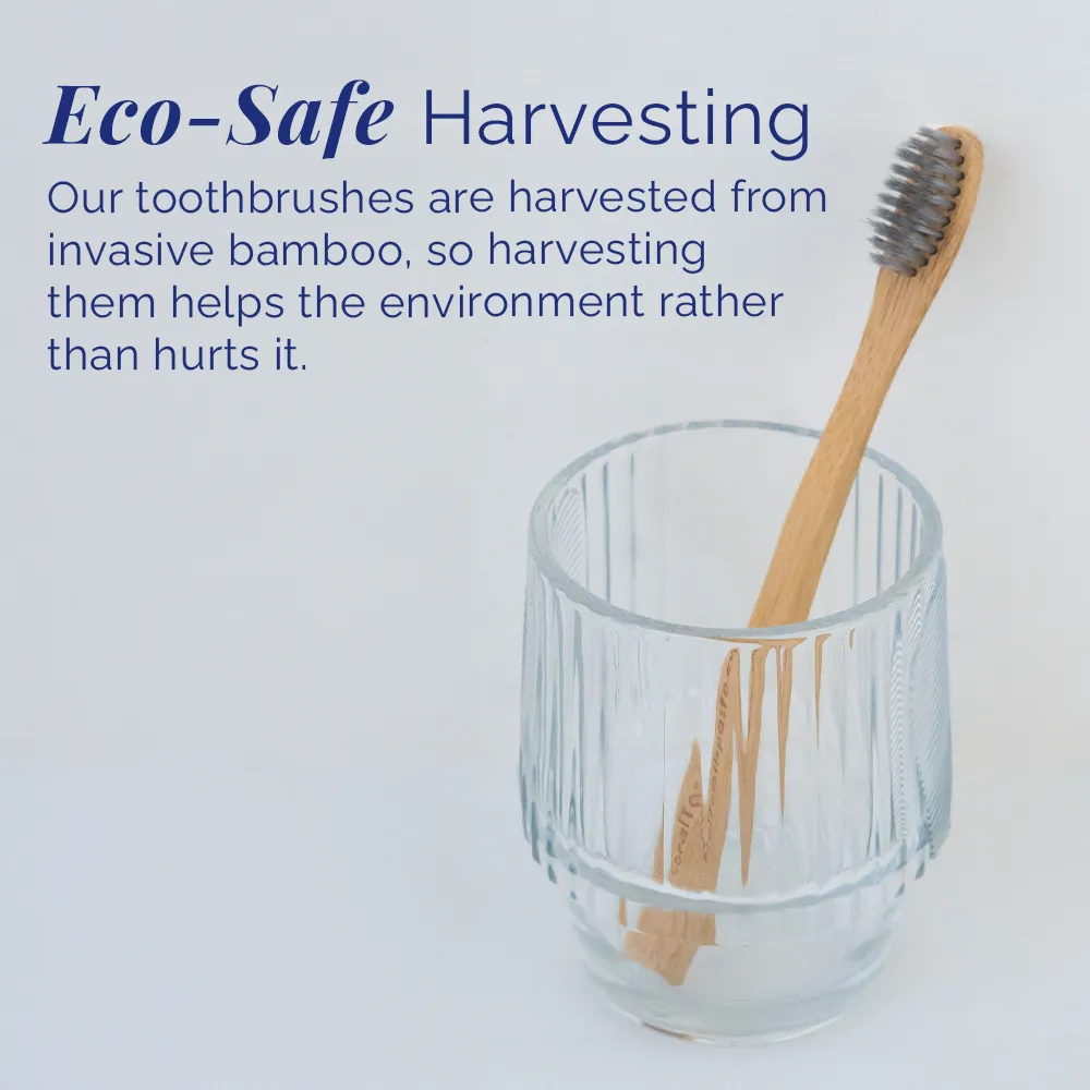 Travel Bamboo Toothbrush - Image 4