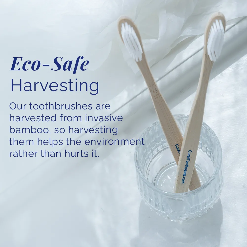 Bamboo Toothbrush - Image 3
